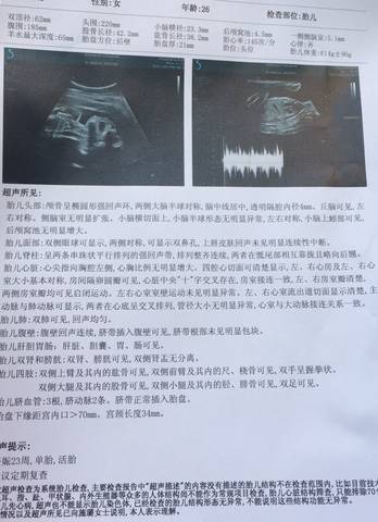 journal_insert_pic_941187379