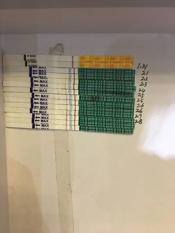 journal_insert_pic_941610362