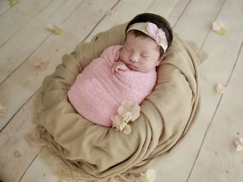 journal_insert_pic_942105945