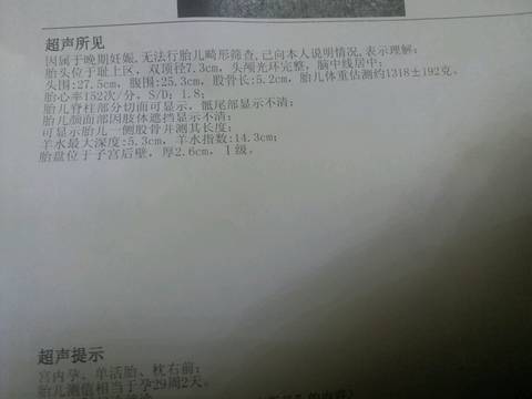 journal_insert_pic_942866017