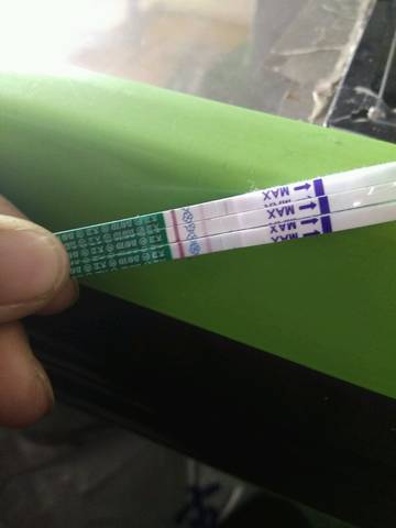 journal_insert_pic_942678652