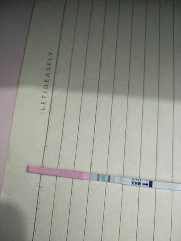 journal_insert_pic_943531392