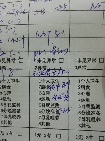 journal_insert_pic_944100887