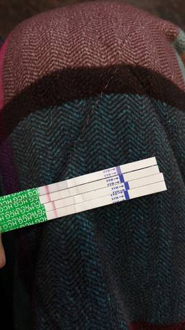 journal_insert_pic_944492371
