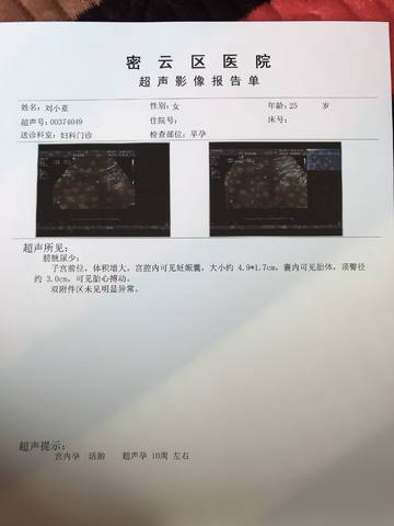 journal_insert_pic_944545695