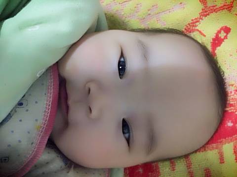 journal_insert_pic_945387810