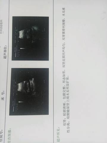 journal_insert_pic_945814241