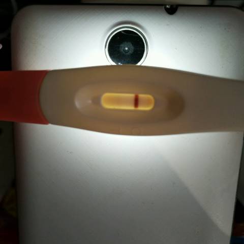 journal_insert_pic_945644478