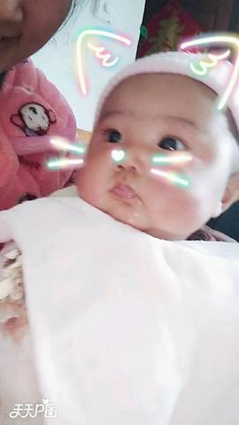 journal_insert_pic_948591858