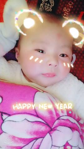 journal_insert_pic_950139590