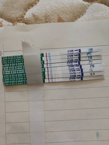 journal_insert_pic_949597426