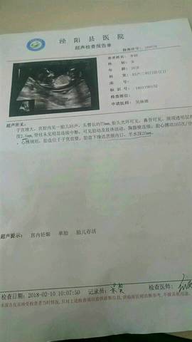 journal_insert_pic_950061574
