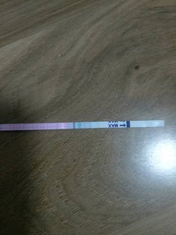 journal_insert_pic_949452545