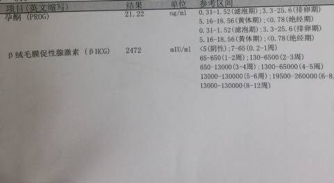 journal_insert_pic_950891543
