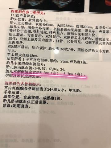 journal_insert_pic_950912127