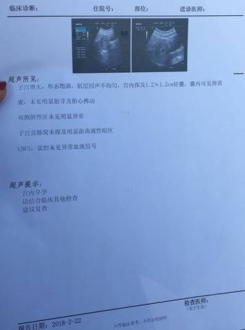 journal_insert_pic_950839882