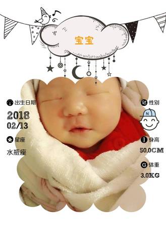 journal_insert_pic_950470660