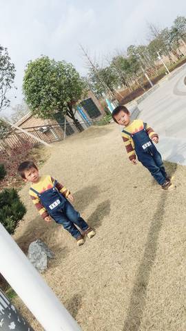 journal_insert_pic_950637331