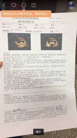 journal_insert_pic_951513570