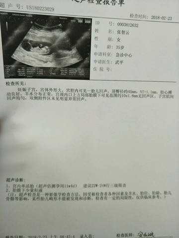 journal_insert_pic_951286562