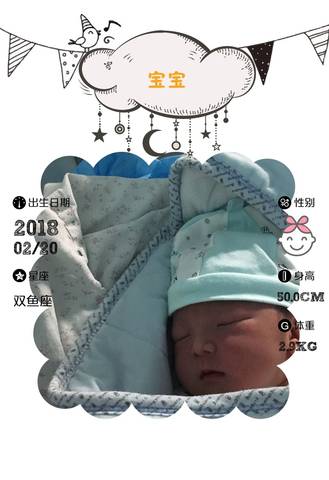 journal_insert_pic_952156665