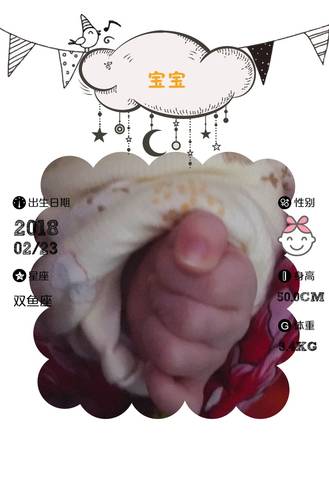 journal_insert_pic_952042313