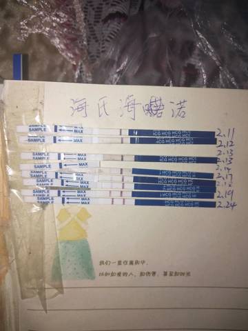 journal_insert_pic_952508615