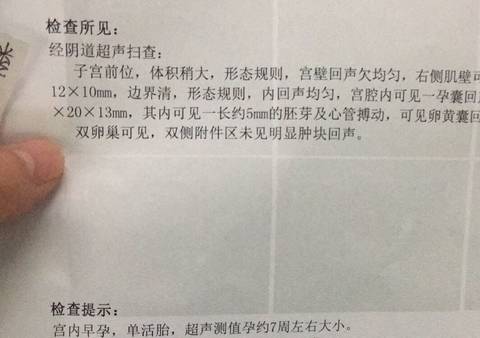 journal_insert_pic_952167915