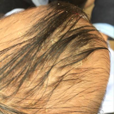 journal_insert_pic_953264369