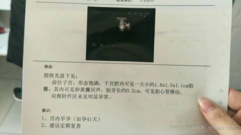 journal_insert_pic_953217065
