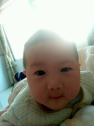 journal_insert_pic_954617074