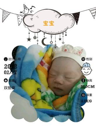 journal_insert_pic_955162726