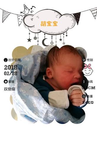 journal_insert_pic_956138760