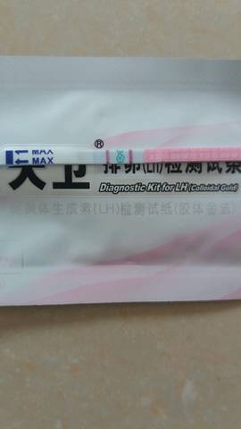 journal_insert_pic_956494614