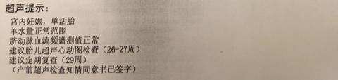 journal_insert_pic_956462231
