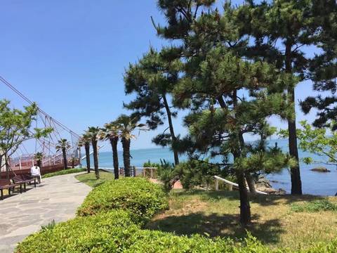 journal_insert_pic_956302124