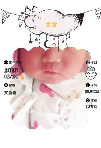 journal_insert_pic_956483345