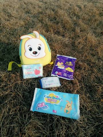 journal_insert_pic_956371707
