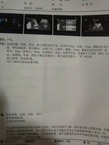 journal_insert_pic_957644940