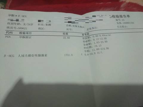 journal_insert_pic_957885456