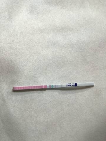journal_insert_pic_958113225