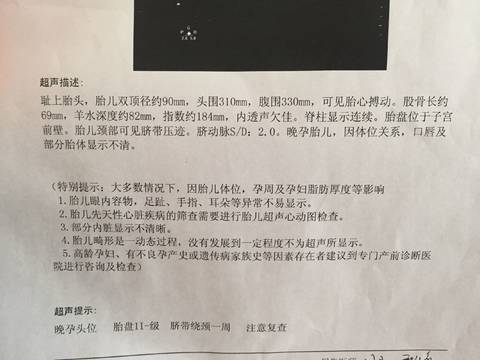 journal_insert_pic_958820755
