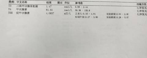 journal_insert_pic_960678104