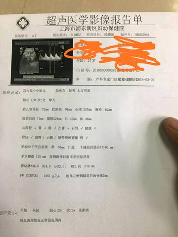 journal_insert_pic_961042066