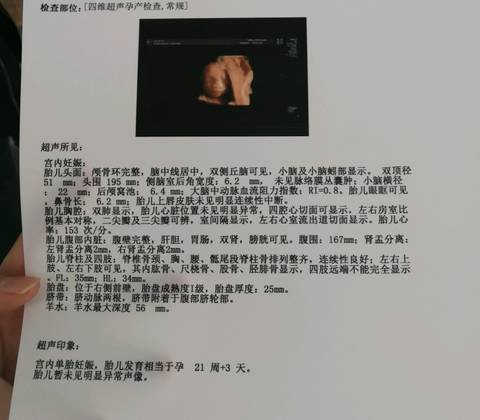journal_insert_pic_961380578