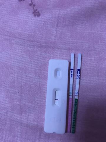 journal_insert_pic_961531620