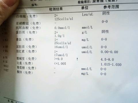 journal_insert_pic_961144791