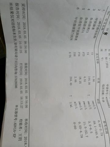 journal_insert_pic_961829216