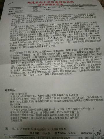 journal_insert_pic_962173101
