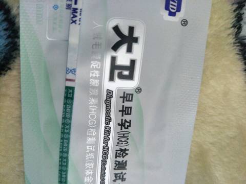 journal_insert_pic_961777455